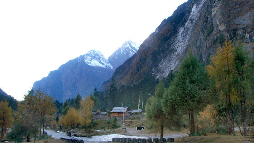 Lachung06_R