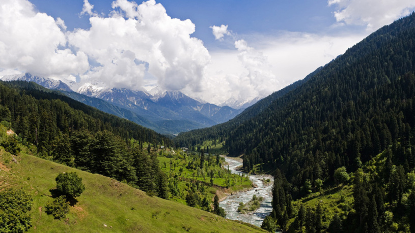 Pahalgam_Valley