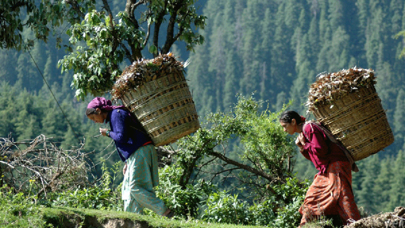 ob_efcf038367c47ce25ee79cc3f0ab7092_darjeeling-info