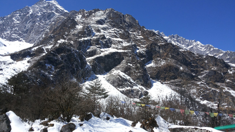 shareiq_1363074926.594426