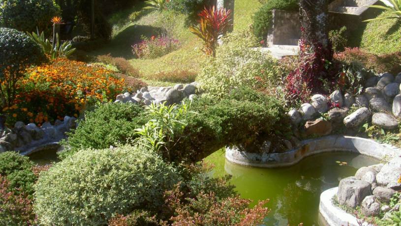 west-bengal-tourist-places-3-kalimpong